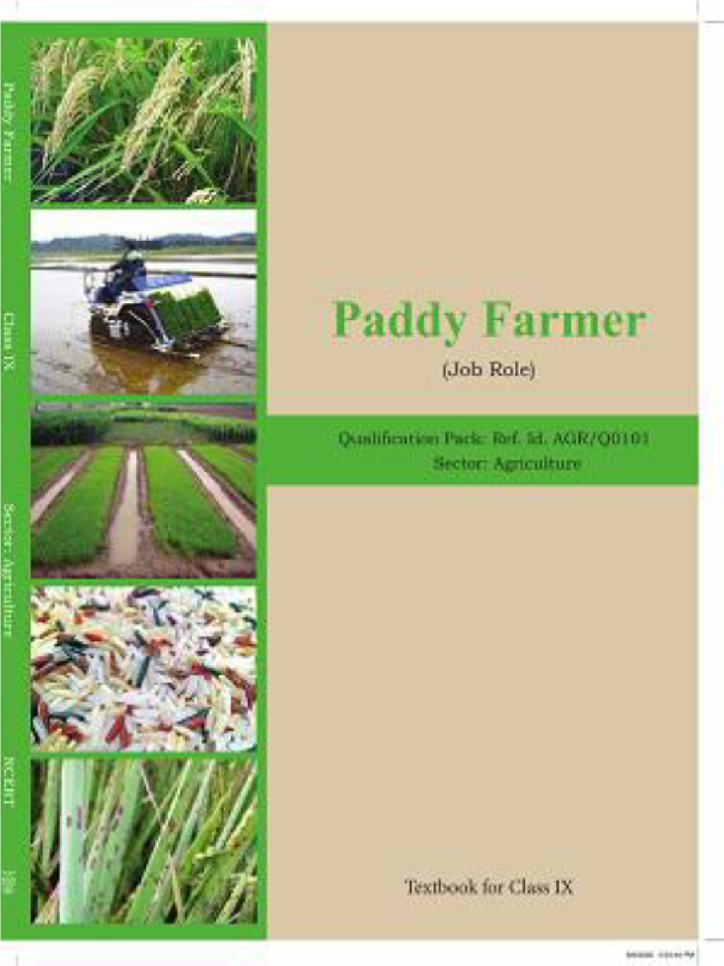 Paddy Farmer (Job Role)