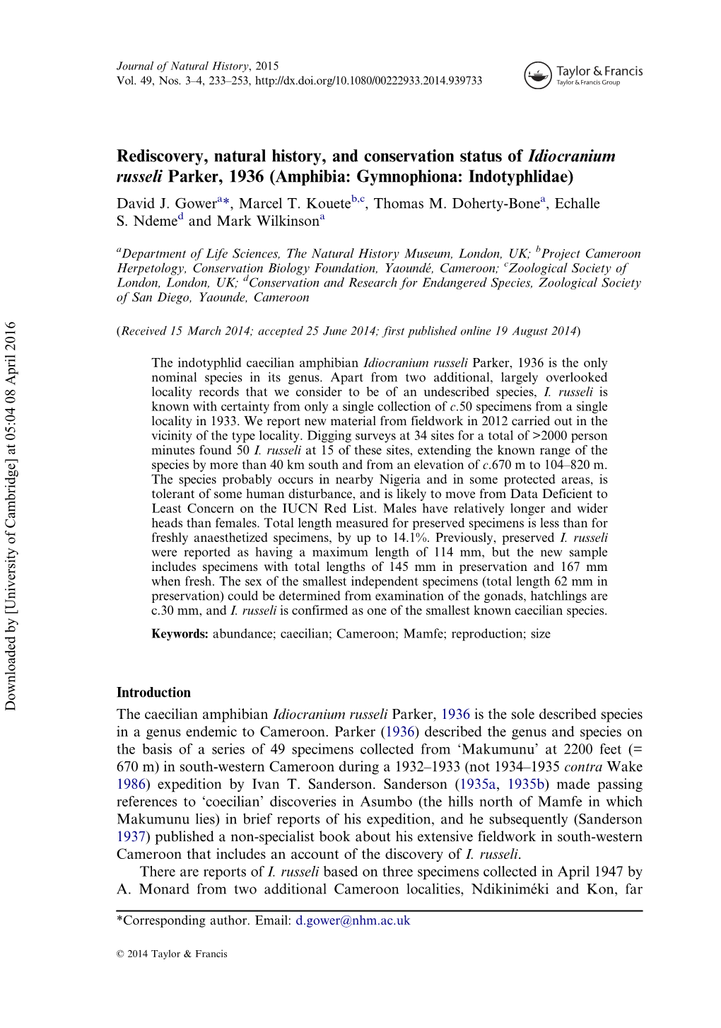 Rediscovery, Natural History, and Conservation Status of Idiocranium Russeli Parker, 1936 (Amphibia: Gymnophiona: Indotyphlidae) David J