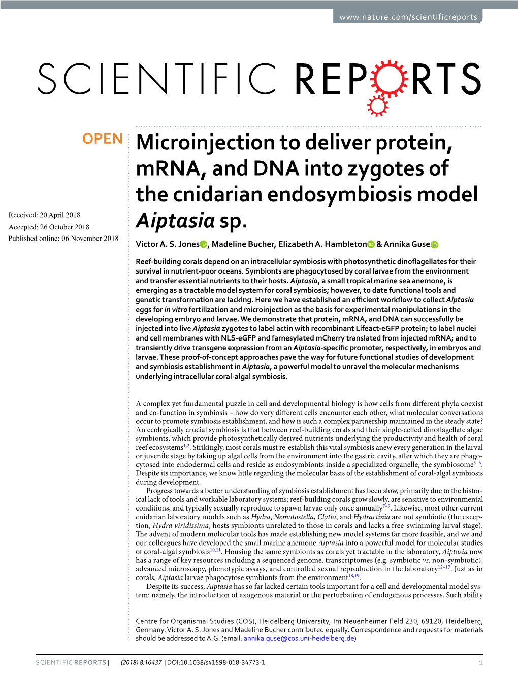 Microinjection to Deliver Protein, Mrna, and DNA Into Zygotes of the Cnidarian Endosymbiosis Model Received: 20 April 2018 Accepted: 26 October 2018 Aiptasia Sp