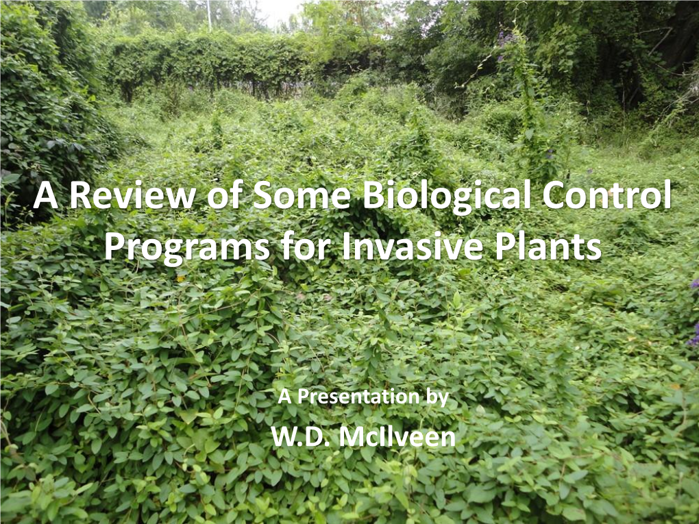 Biological Control Programs for Invasive Plants