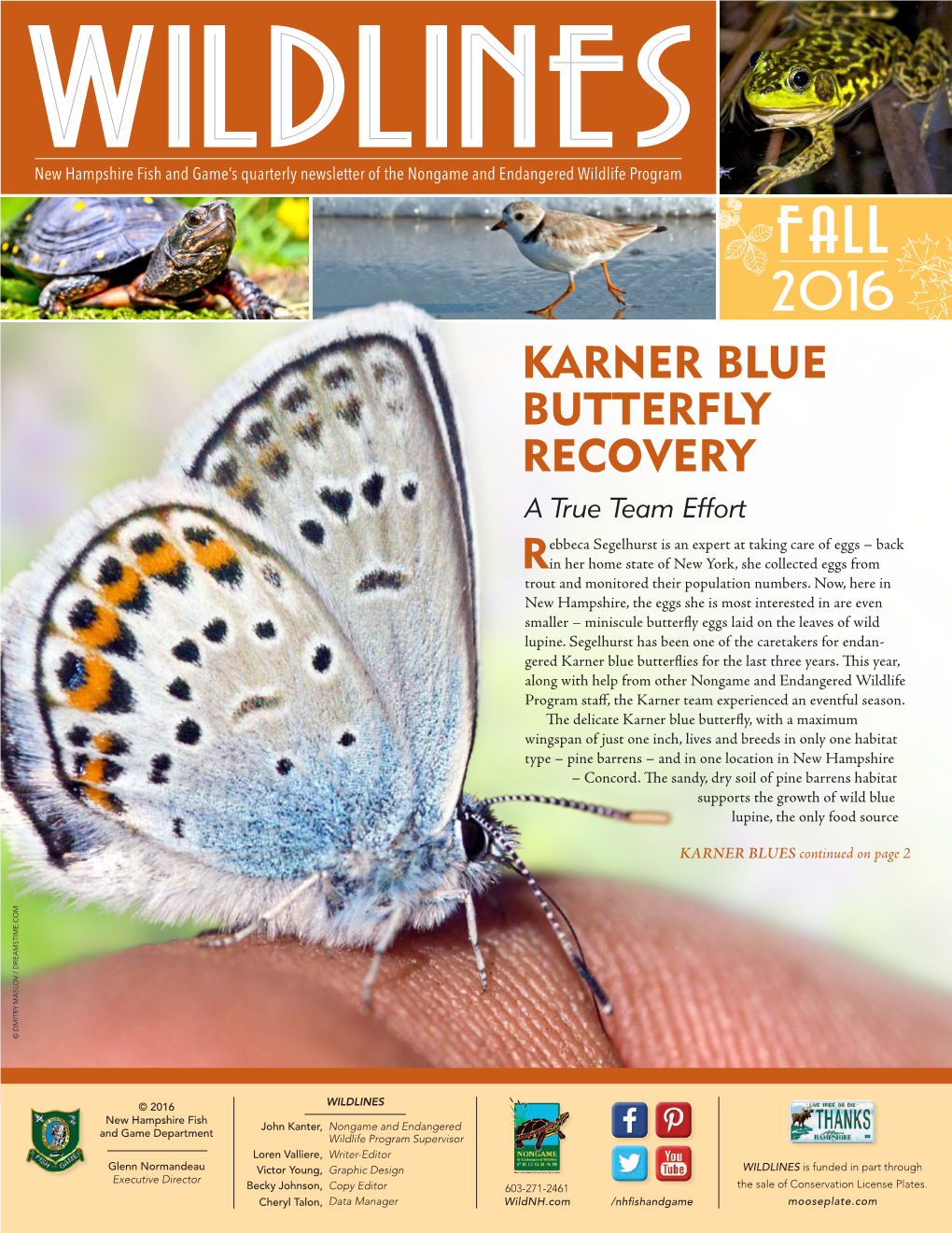 Karner Blue Butterfly Recovery