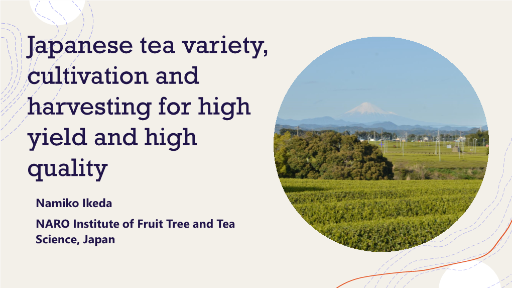 Japanese Tea Variety, Cultivation and Harvesting for High Yield and High Quality