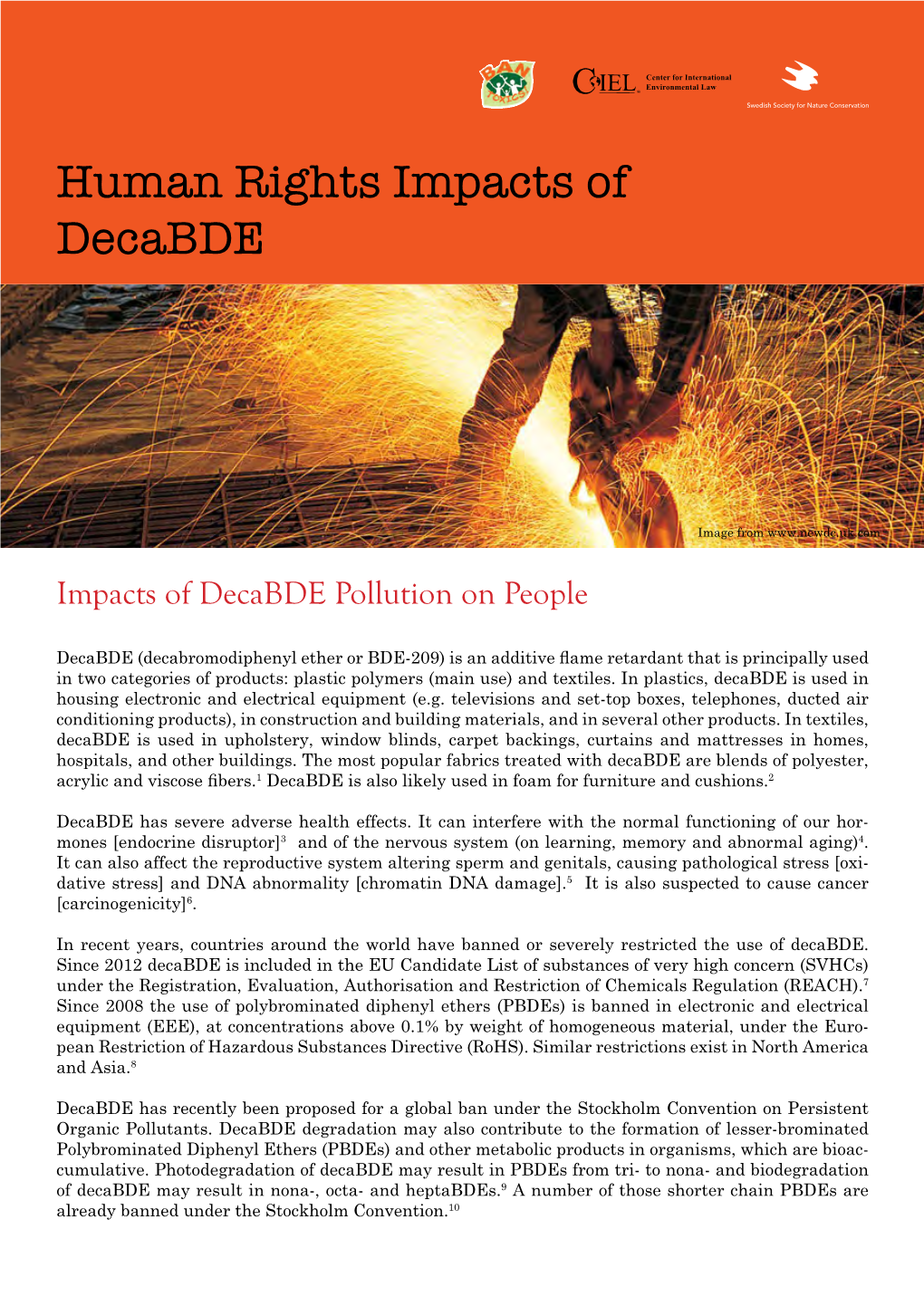 Human Rights Impacts of Decabde