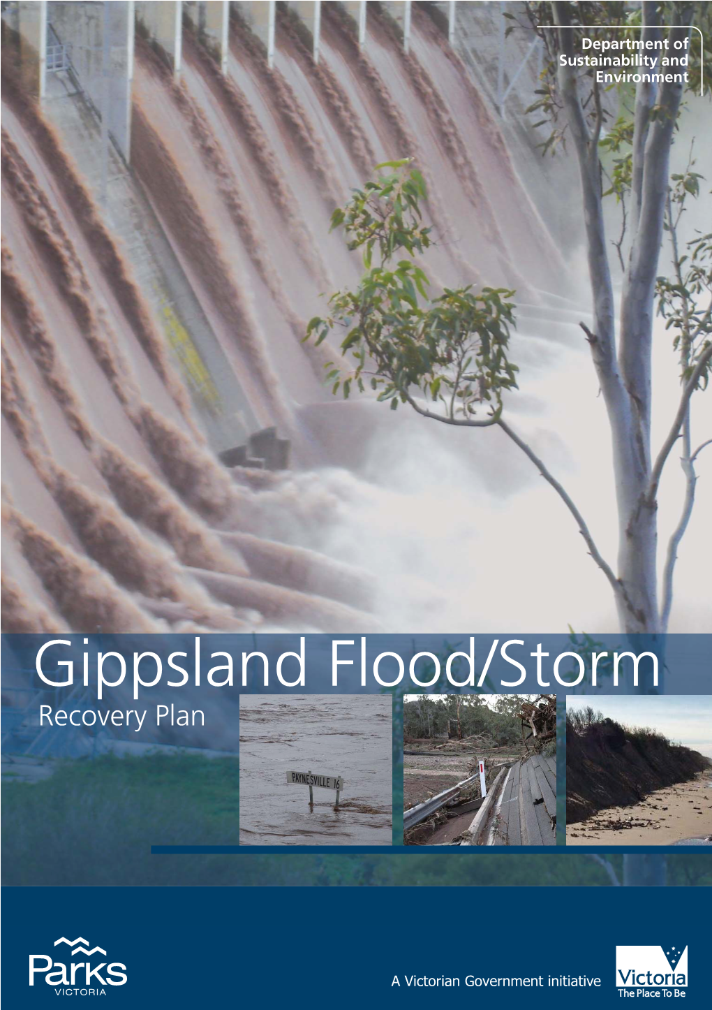 Gippsland Flood/Storm