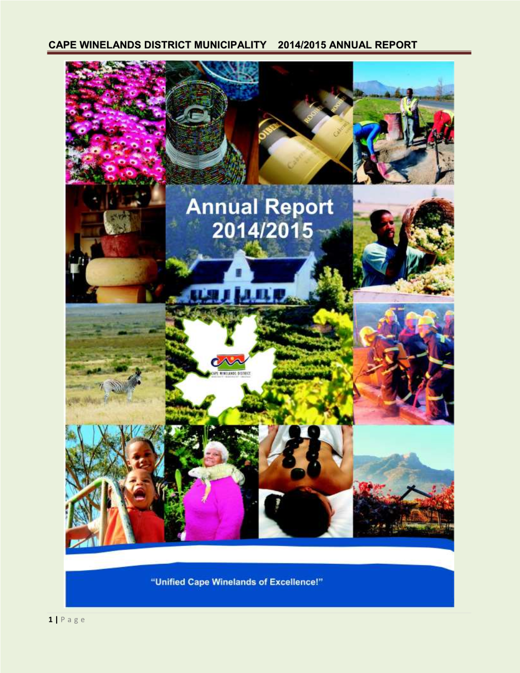 Cape Winelands District Municipality 2014/2015 Annual Report