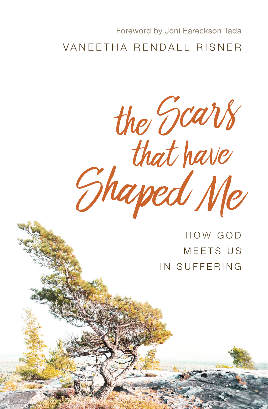 The Scars That Have Shaped Me: How God Meets Us in Suffering