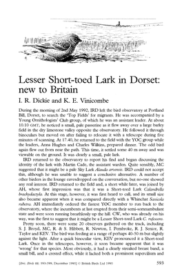 Lesser Short-Toed Lark in Dorset: New to Britain I