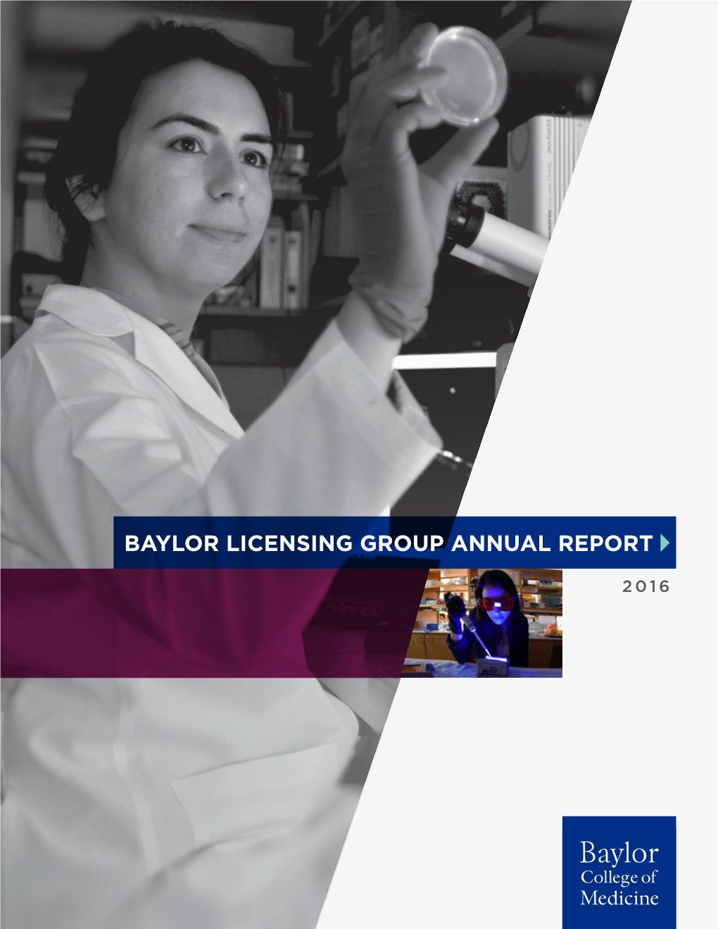 Baylor Licensing Group Annual Report