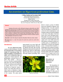 An Overview on Hypericum Perforatum Linn