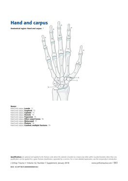 Hand and Carpus 78 78 Anatomical Region: Hand and Carpus 7 78