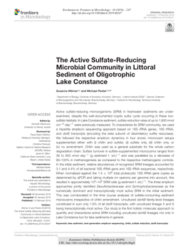 The Active Sulfate-Reducing Microbial Community in Littoral Sediment of Oligotrophic Lake Constance
