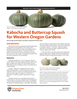 Kabocha and Buttercup Squash for Western Oregon Gardens Alice Formiga, Jennifer Wetzel, Lane Selman, Shinji Kawai and Alex Stone