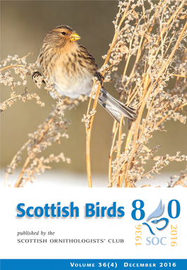 Scottish Birds 36:4 (2016)