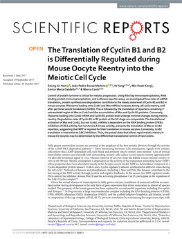 The Translation of Cyclin B1 and B2 Is Differentially Regulated During