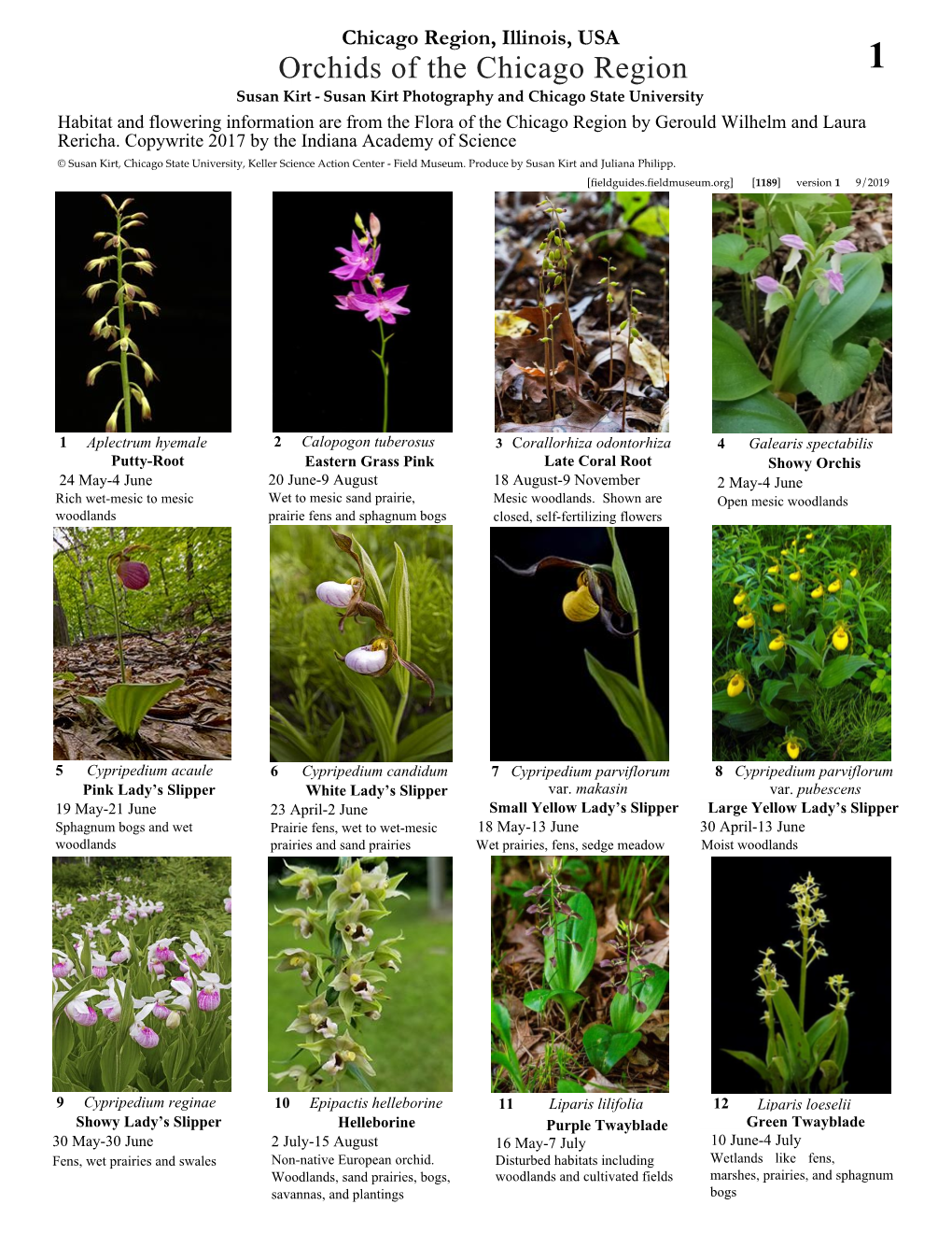 Orchids of the Chicago Region
