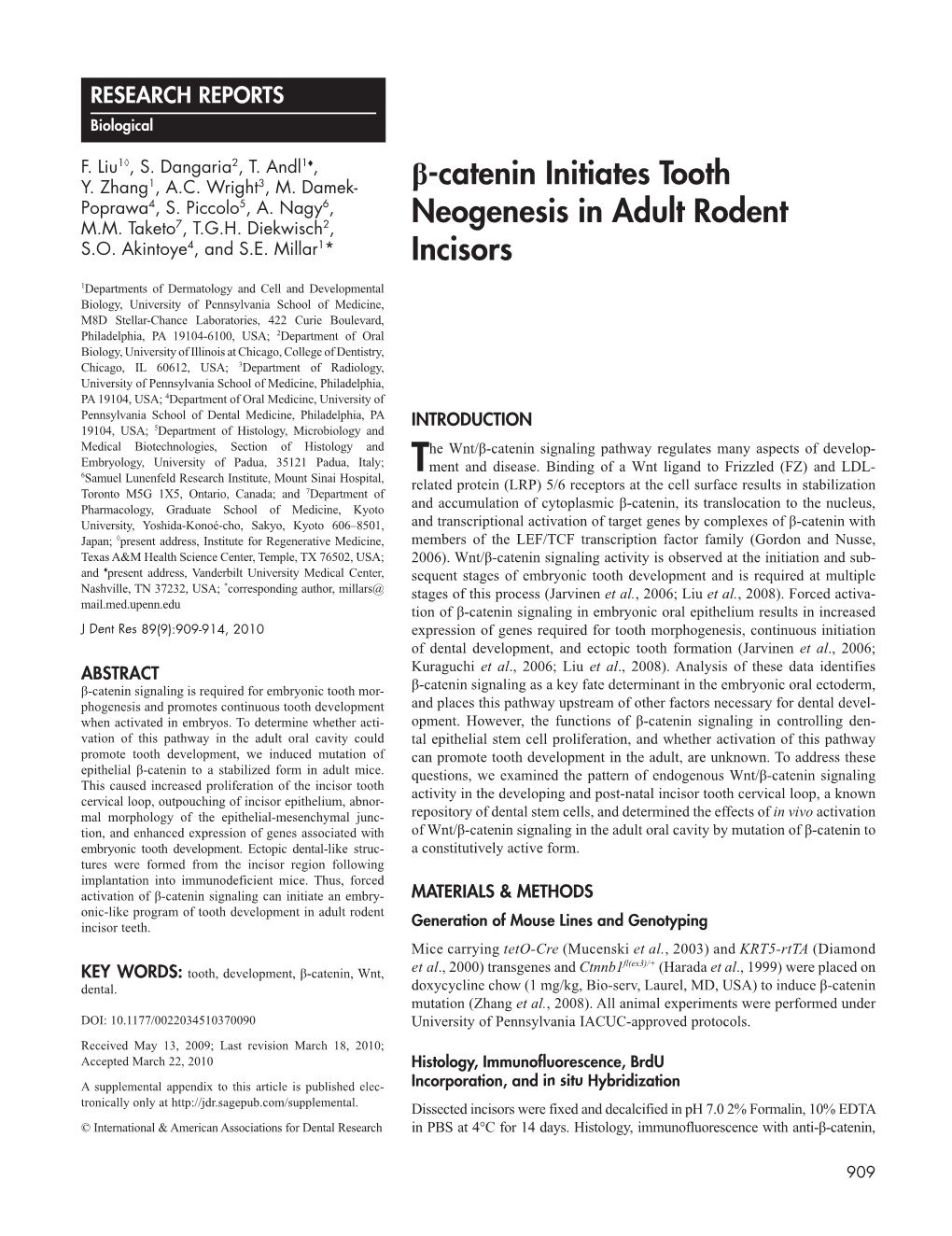 Β-Catenin Initiates Tooth Neogenesis in Adult Rodent Incisors 911