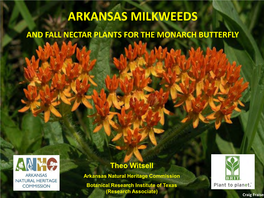 Arkansas Milkweeds and Fall Nectar Plants for the Monarch Butterfly
