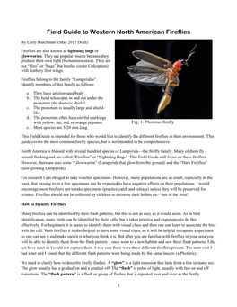 Field Guide to Western North American Fireflies
