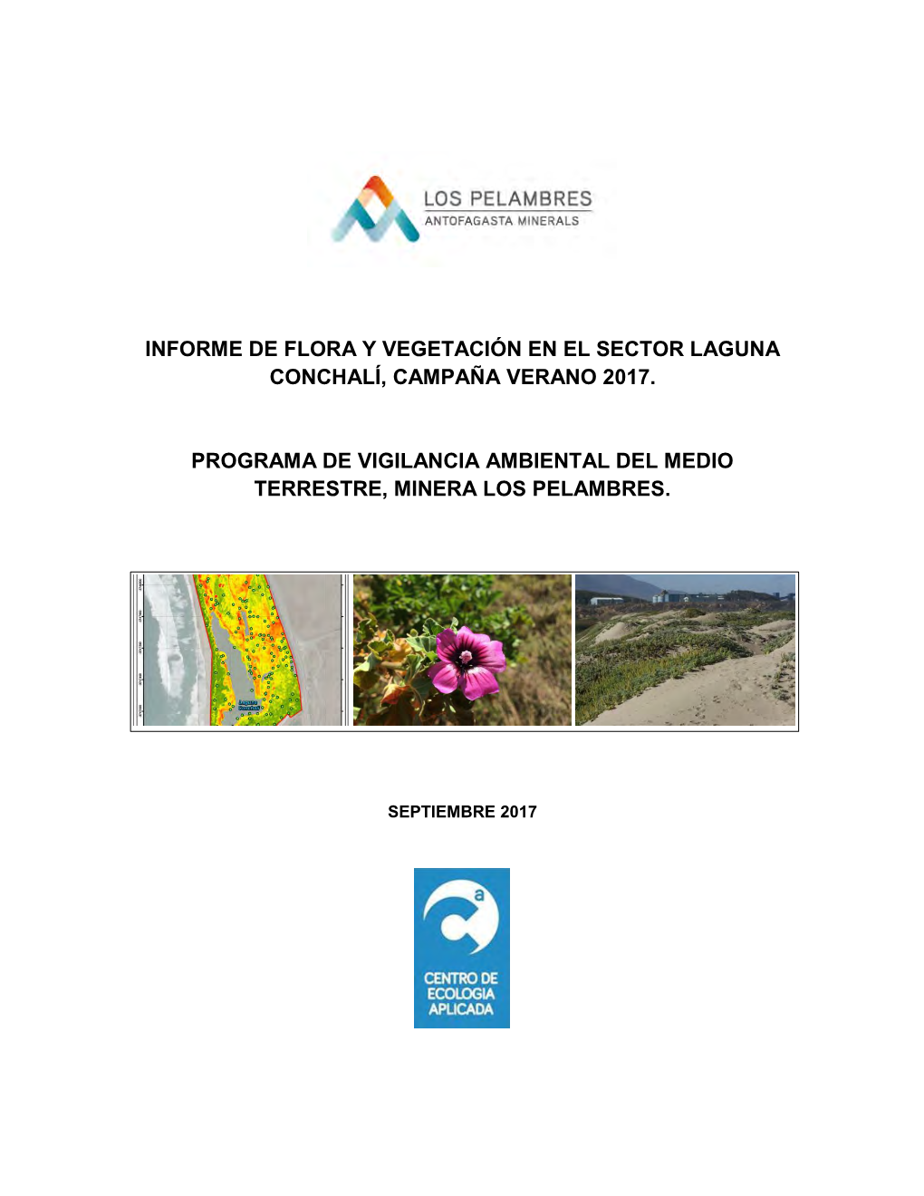 Informe De Flora Y Vegetación En El Sector Laguna Conchalí, Campaña Verano 2017