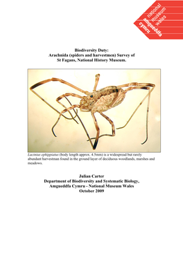 (Spiders and Harvestmen) Survey of St Fagans, National History Museum