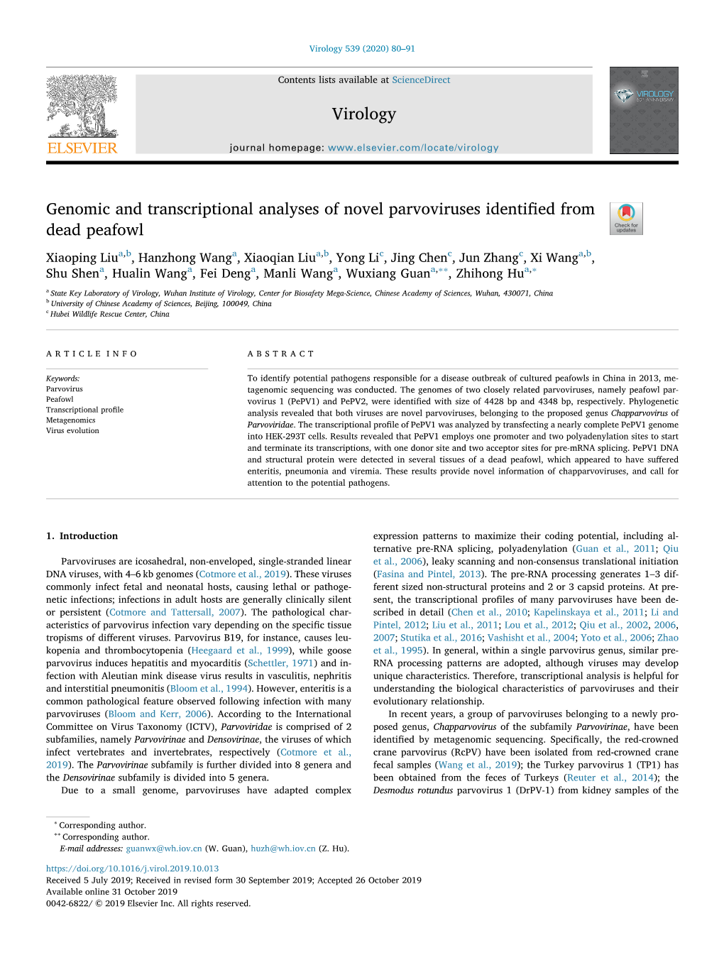 Genomic and Transcriptional Analyses of Novel Parvoviruses Identified