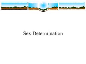Sex Determination Sexual Reproduction