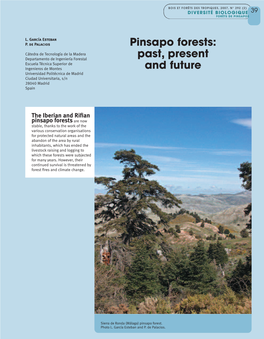 Pinsapo Forests: Past, Present and Future