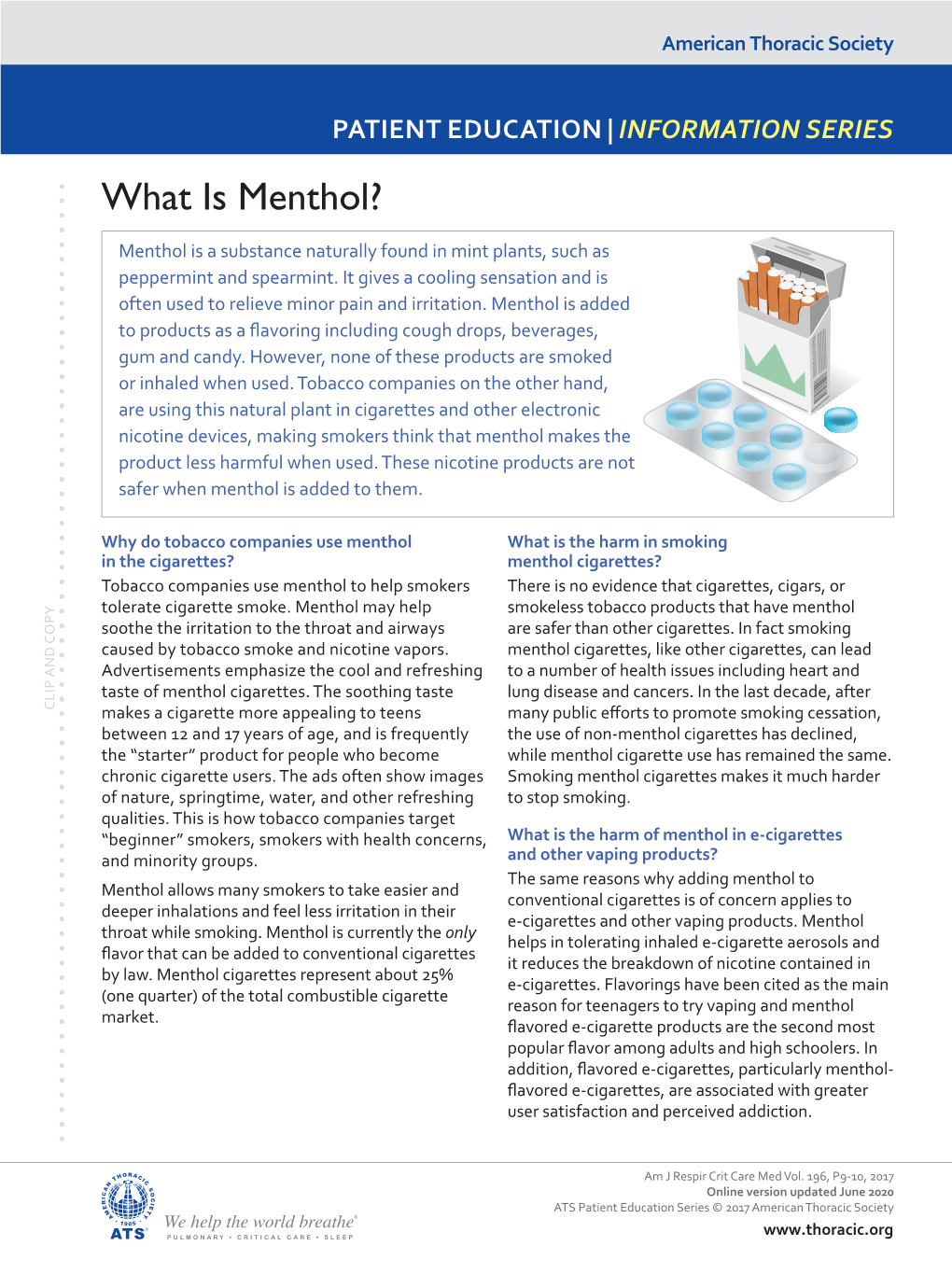 What Is Menthol?