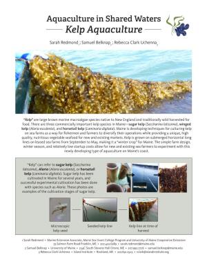 Kelp Aquaculture