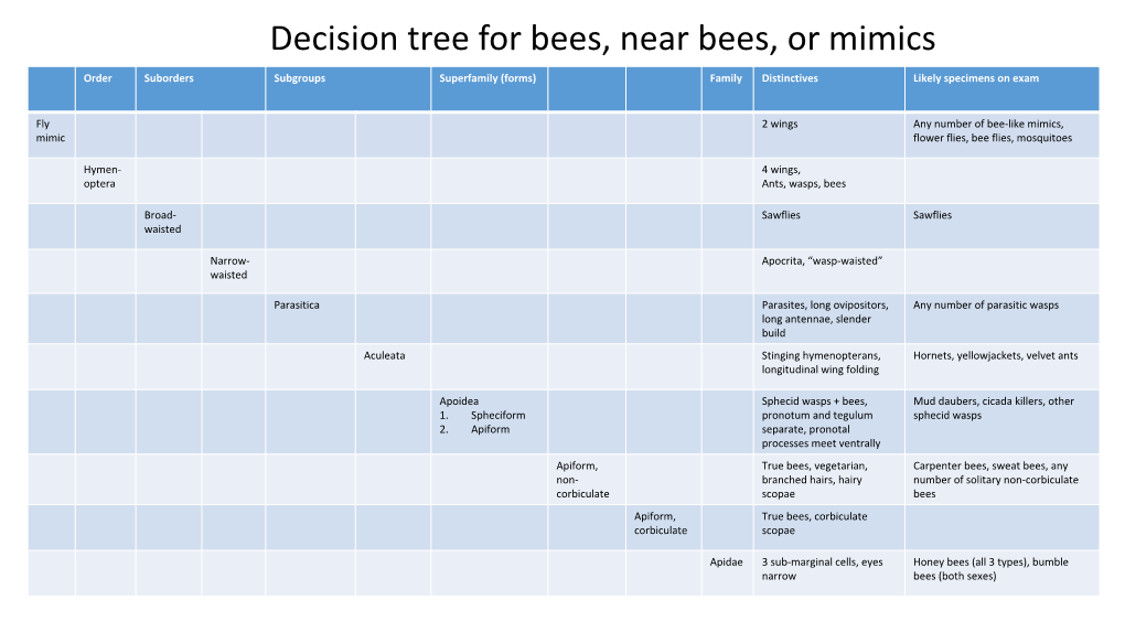 Bee and Near Bee Idenification for Journeyman