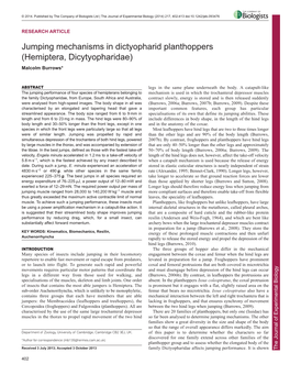 Jumping Mechanisms in Dictyopharid Planthoppers (Hemiptera