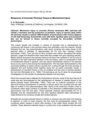 Response of Avocado Pericarp Tissue to Mechanical Injury