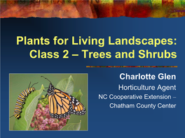Plants for Living Landscapes: Class 2 – Trees and Shrubs