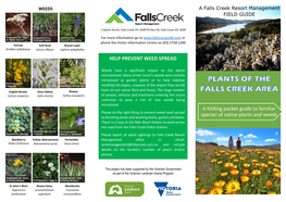 Plants of Falls Creek Region Guide