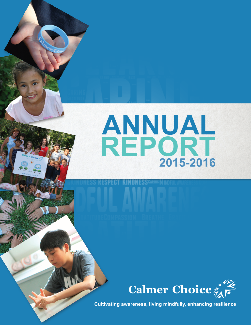 View the Annual Report