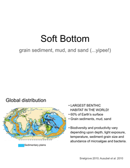 Soft Bottom Grain Sediment, Mud, and Sand (...Yipee!)