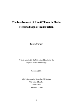 The Involvement of Rho Gtpases in Plexin Mediated Signal Transduction