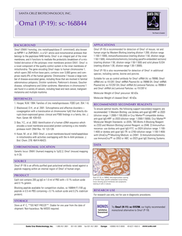 Datasheet Blank Template