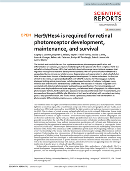 Her9/Hes4 Is Required for Retinal Photoreceptor Development, Maintenance, and Survival Cagney E