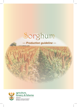 Sorghum — Production Guideline —