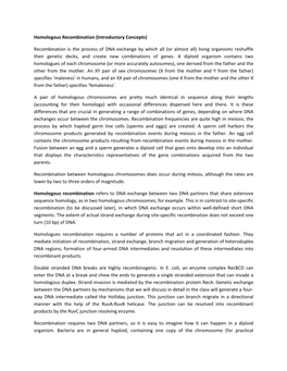 Homologous Recombination (Introductory Concepts)