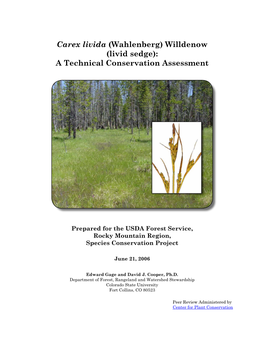 Carex Livida (Wahlenberg) Willdenow (Livid Sedge): a Technical Conservation Assessment