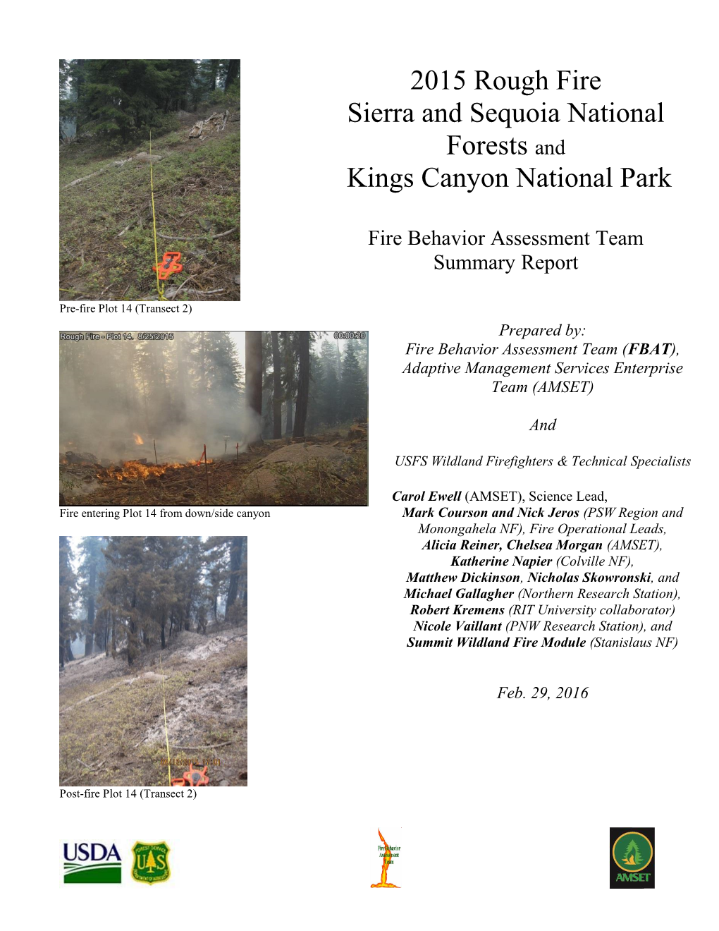 Lion Fire Fuels Report