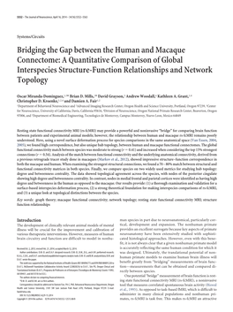 Bridging the Gap Between the Human and Macaque Connectome: a Quantitative Comparison of Global Interspecies Structure-Function Relationships and Network Topology