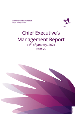 Chief Executive's Management Report