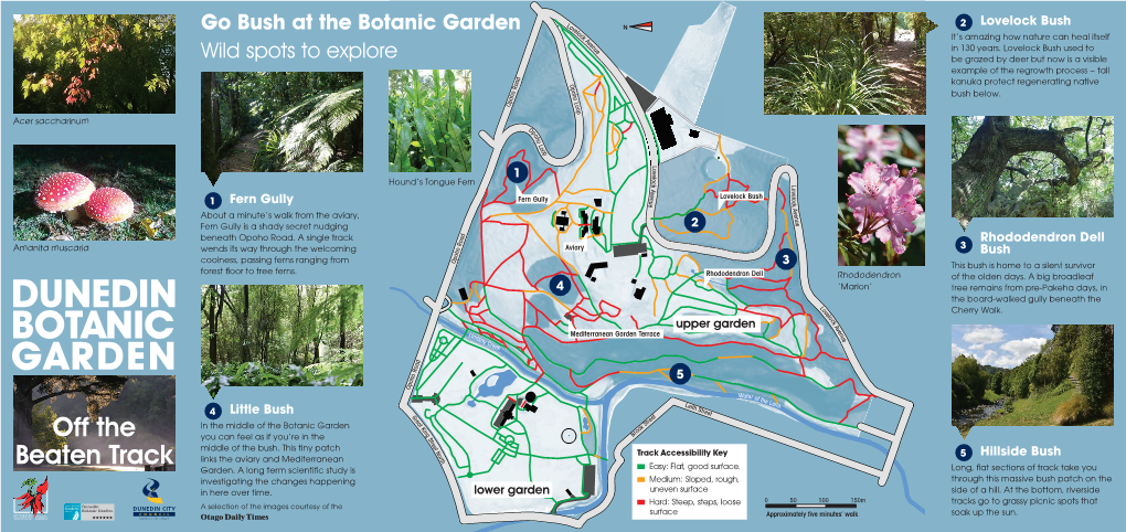 Download a Map of the Dunedin Botanic