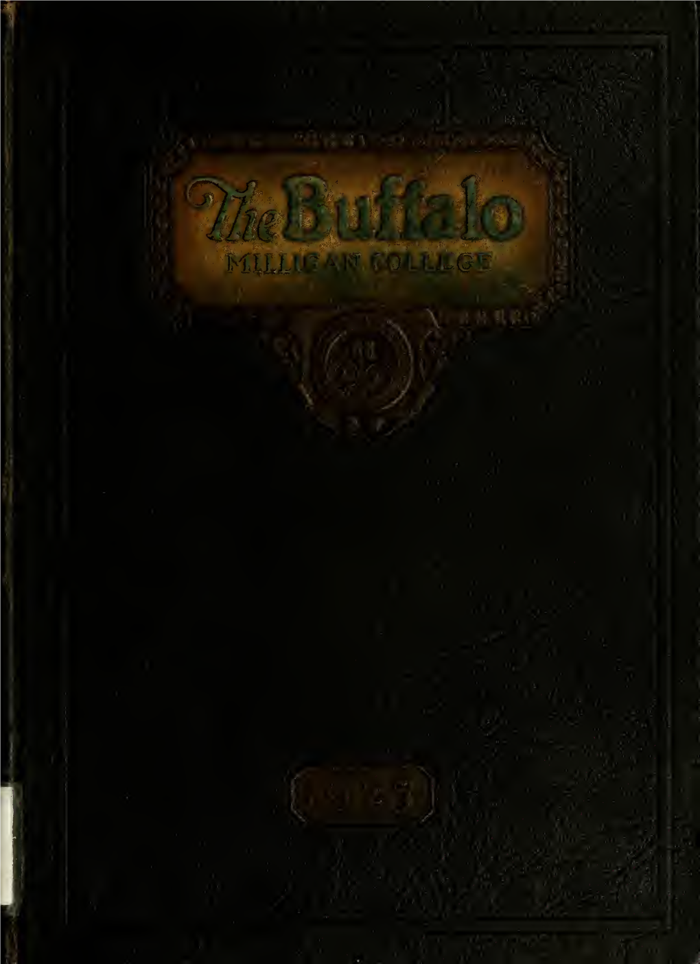Buffalo 1925