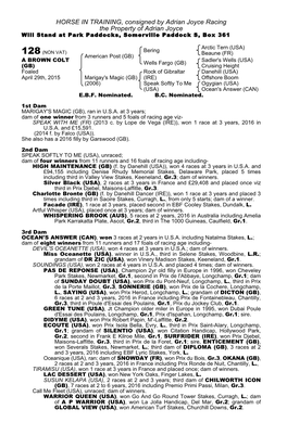 HORSE in TRAINING, Consigned by Adrian Joyce Racing the Property of Adrian Joyce Will Stand at Park Paddocks, Somerville Paddock S, Box 361