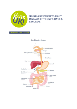 Funding Research to Fight Diseases of the Gut, Liver & Pancreas