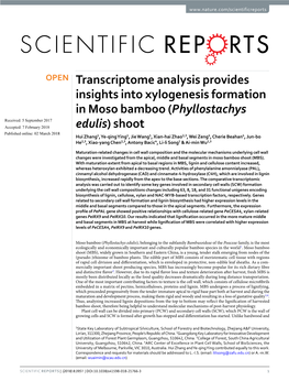 Transcriptome Analysis Provides Insights Into Xylogenesis Formation